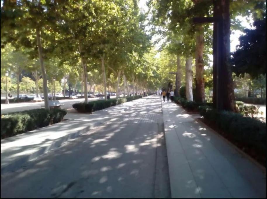 דירות גרנדה Hogar Del Lirio מראה חיצוני תמונה